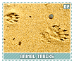animaltracks02