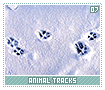 animaltracks07