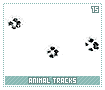 animaltracks15