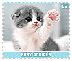 babyanimals03