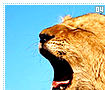 babyanimals04