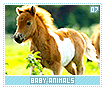babyanimals07