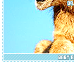 babyanimals09