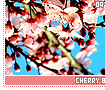 cherryblossoms09