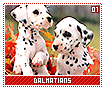 dalmatians01