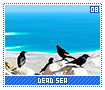 deadsea08