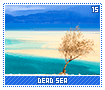 deadsea15
