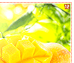 mangoes12