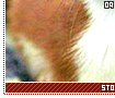 stoats09