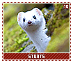 stoats19