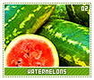 watermelons02