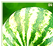 watermelons04