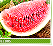 watermelons10
