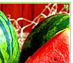 watermelons12