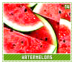 watermelons14