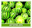 watermelons15