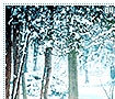 winter04