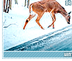winter09